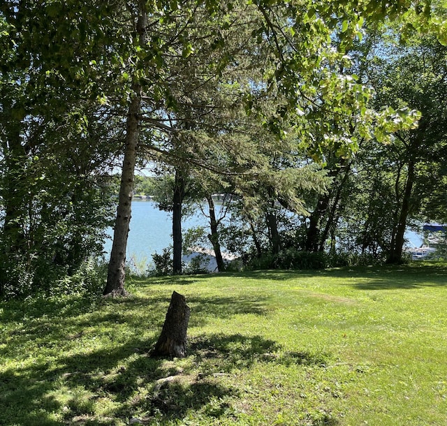 310 Highcroft Dr, Windom, MN 56101 - view of green lawn