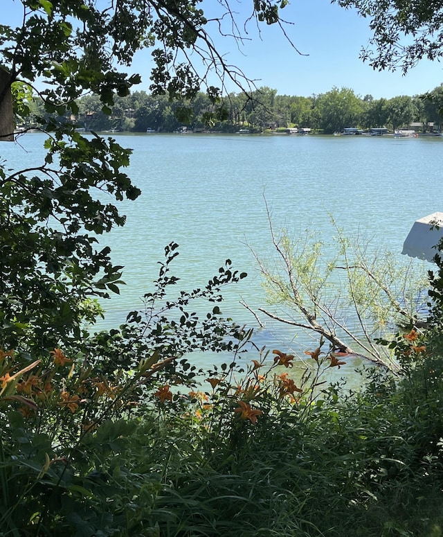 310 Highcroft Dr, Windom, MN 56101 - water view