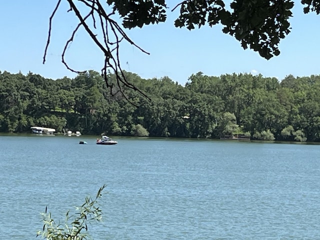 310 Highcroft Dr, Windom, MN 56101 - water view with a forest