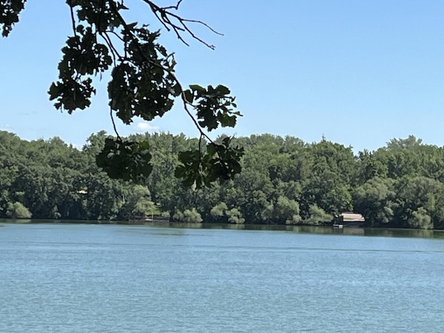 310 Highcroft Dr, Windom, MN 56101 - water view featuring a heavily wooded area