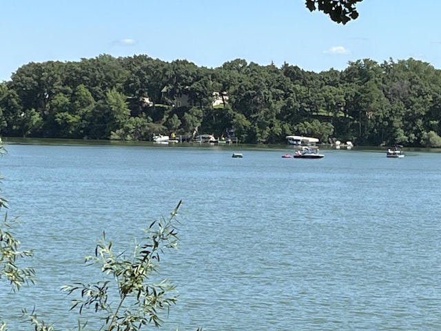 310 Highcroft Dr, Windom, MN 56101 - water view featuring a forest