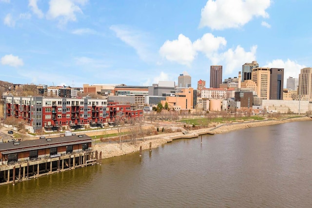 240 Spring St Unit 413, Saint Paul, MN 55102 - city view featuring a large body of water