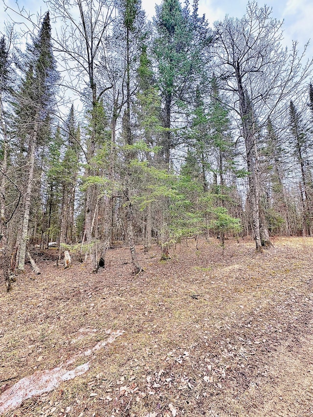 41820 Bald Eagle Dr, Marcell Twp, MN 56628 - view of nature