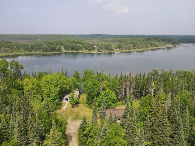 41820 Bald Eagle Dr, Marcell Twp, MN 56628 - drone / aerial view of a heavily wooded area and a nearby body of water
