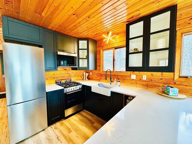 41820 Bald Eagle Dr, Marcell Twp, MN 56628 - kitchen with appliances with stainless steel finishes, light countertops, wooden walls, wooden ceiling, and glass insert cabinets