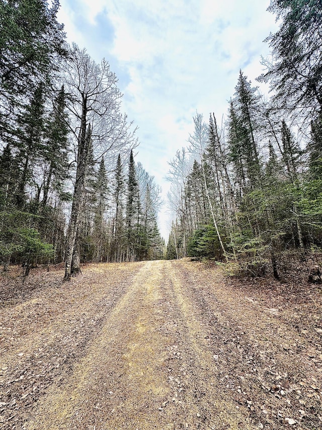 41820 Bald Eagle Dr, Marcell Twp, MN 56628 - view of dirt / gravel road with a view of trees