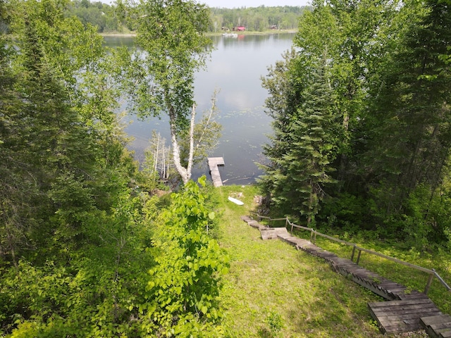 41820 Bald Eagle Dr, Marcell Twp, MN 56628 - bird's eye view of a large body of water and a forest