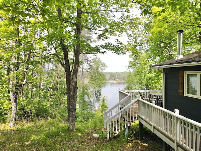 41820 Bald Eagle Dr, Marcell Twp, MN 56628 - water view with stairs