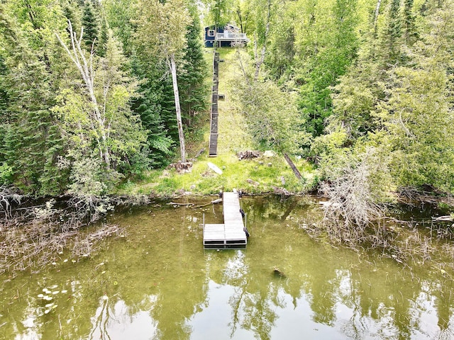 41820 Bald Eagle Dr, Marcell Twp, MN 56628 - view of dock area