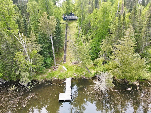 41820 Bald Eagle Dr, Marcell Twp, MN 56628 - aerial view