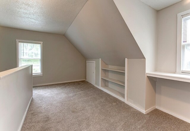 423 1st St NW, Faribault, MN 55021 - bonus room with carpet, a textured ceiling, lofted ceiling, and baseboards
