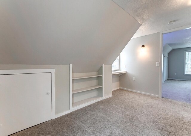 423 1st St NW, Faribault, MN 55021 - bonus room with light colored carpet, vaulted ceiling, a textured ceiling, baseboards, and built in features