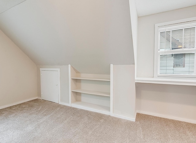 423 1st St NW, Faribault, MN 55021 - additional living space with carpet floors, vaulted ceiling, and baseboards