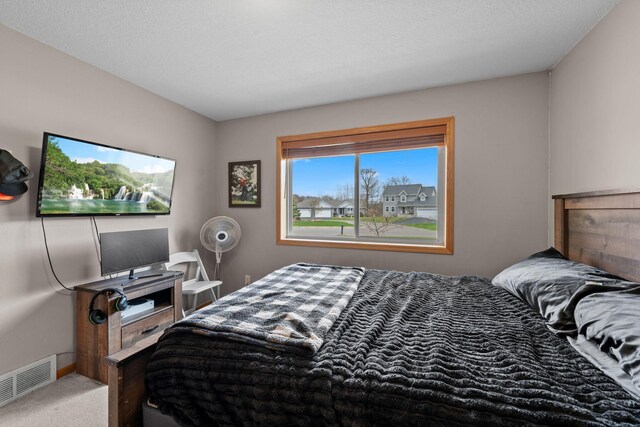 19390 Queen Cir NW, Elk River, MN 55330 - view of carpeted bedroom