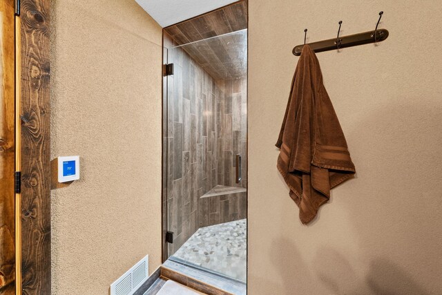 19390 Queen Cir NW, Elk River, MN 55330 - bathroom with tiled shower