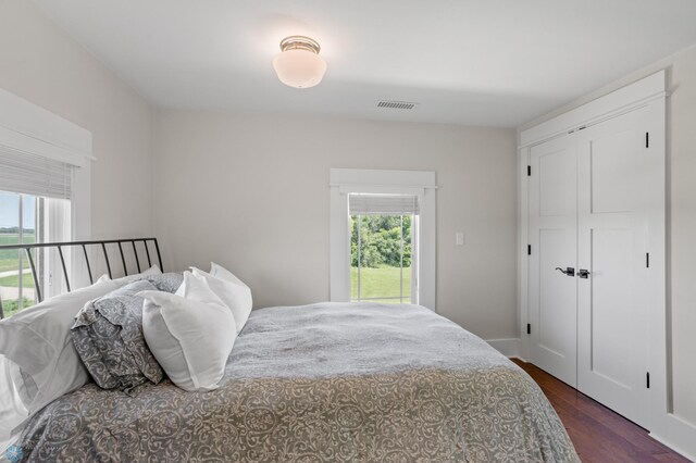 9730 177th Ave SE, Fairmount, ND 58030 - bedroom with visible vents, dark wood-style floors, a closet, and multiple windows