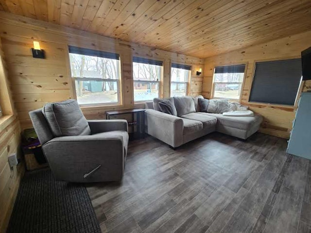 50967 Wymer Lake Trl, Hobart Twp, MN 56544 - living area featuring wood finished floors, wood ceiling, wood walls, and vaulted ceiling