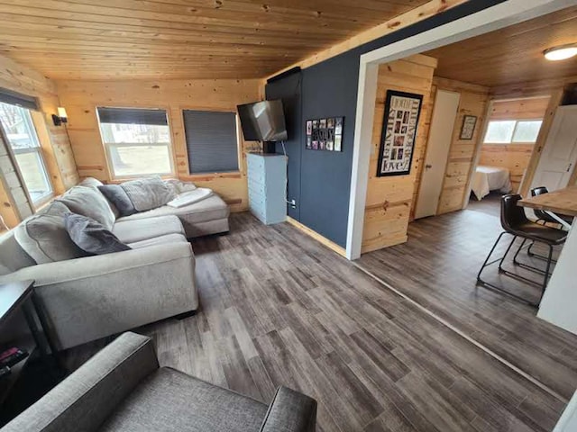 50967 Wymer Lake Trl, Hobart Twp, MN 56544 - living area with wood ceiling, wood walls, and wood finished floors