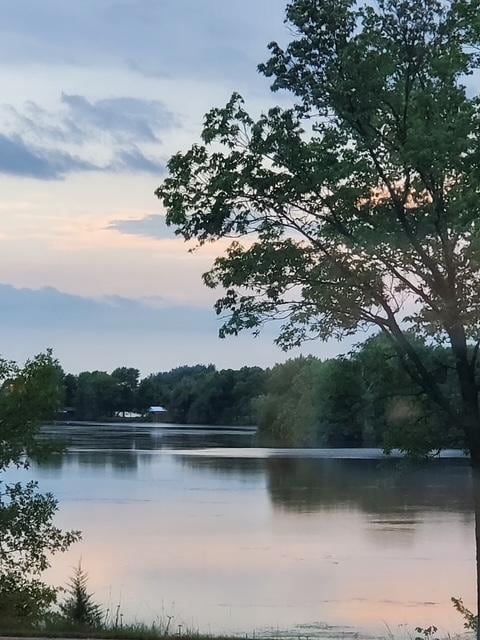 water view with a forest