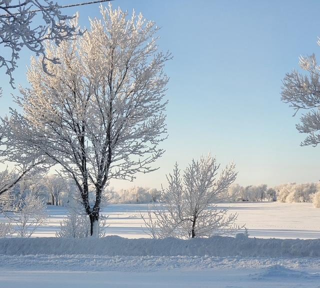 view of yard layered in snow