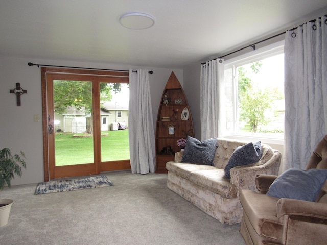 218 Lake Ave E, Fulda, MN 56131 - living area featuring carpet