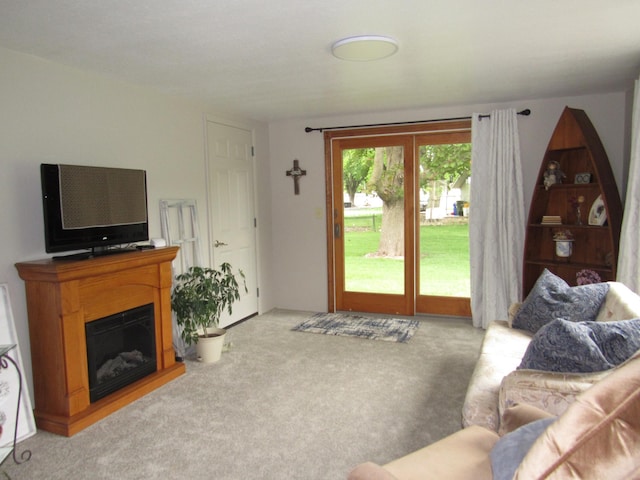 218 Lake Ave E, Fulda, MN 56131 - living room with carpet flooring and a fireplace
