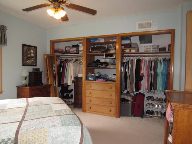 218 Lake Ave E, Fulda, MN 56131 - bedroom featuring two closets, carpet, and ceiling fan