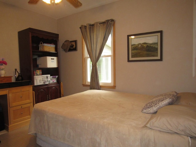 218 Lake Ave E, Fulda, MN 56131 - bedroom featuring ceiling fan