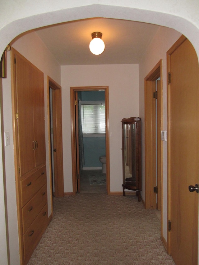 218 Lake Ave E, Fulda, MN 56131 - corridor with arched walkways, carpet floors, and baseboards
