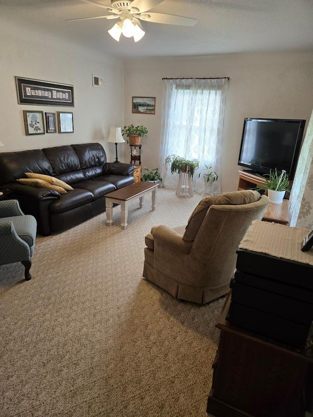 218 Lake Ave E, Fulda, MN 56131 - carpeted living area featuring a ceiling fan