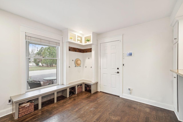mudroom with baseboards and dark wood-style floors