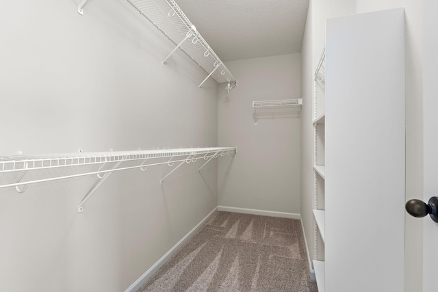 walk in closet featuring carpet flooring
