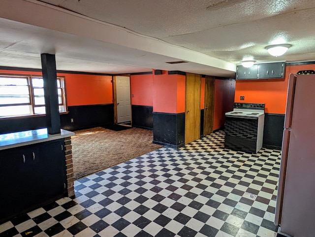 1433 Ridgeview Dr, Montevideo, MN 56265 - basement with freestanding refrigerator, light floors, wainscoting, and a textured ceiling