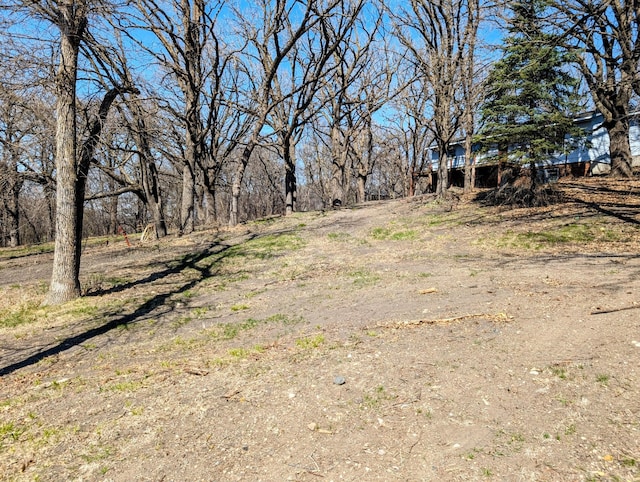 1433 Ridgeview Dr, Montevideo, MN 56265 - view of yard