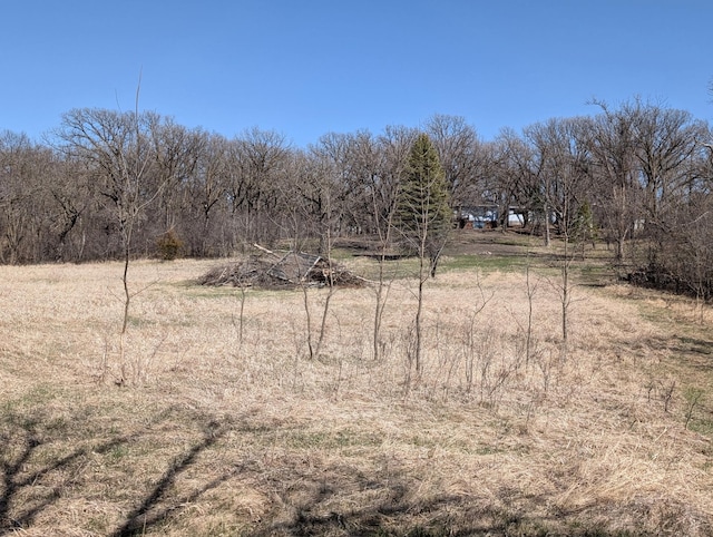 1433 Ridgeview Dr, Montevideo, MN 56265 - view of local wilderness featuring rural landscape