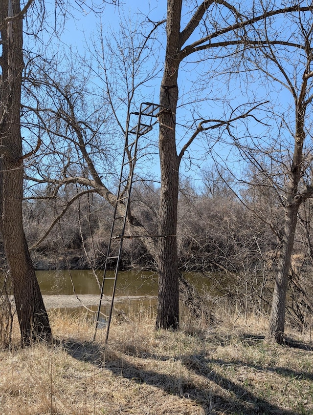 1433 Ridgeview Dr, Montevideo, MN 56265 - view of local wilderness
