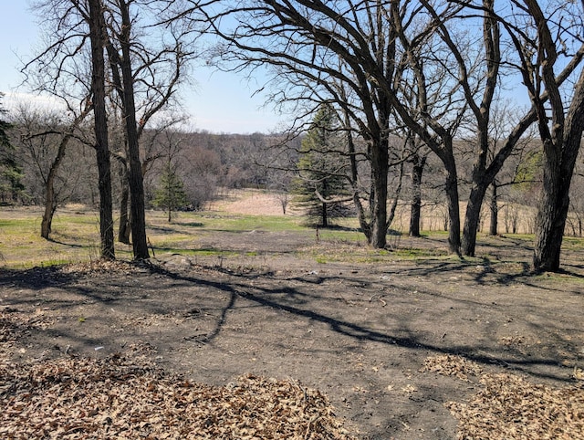 1433 Ridgeview Dr, Montevideo, MN 56265 - view of street