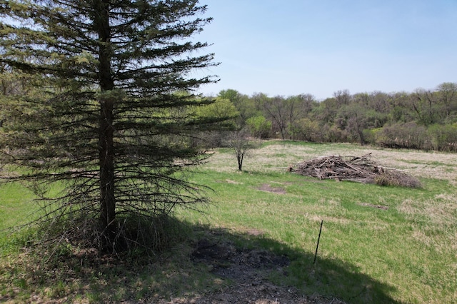 1433 Ridgeview Dr, Montevideo, MN 56265 - view of yard with a forest view