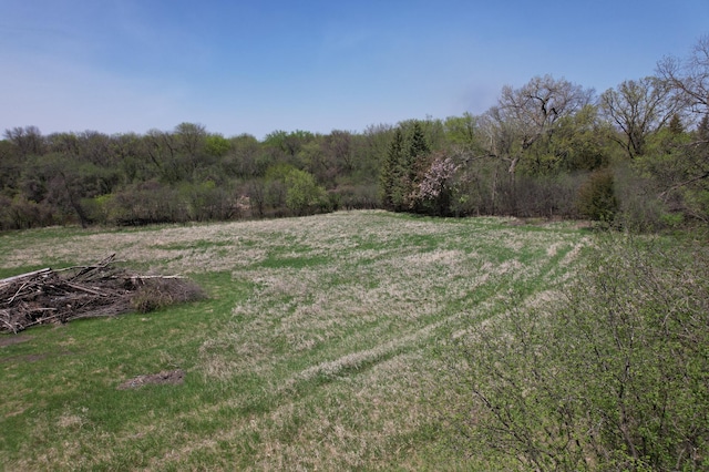1433 Ridgeview Dr, Montevideo, MN 56265 - view of yard with a forest view