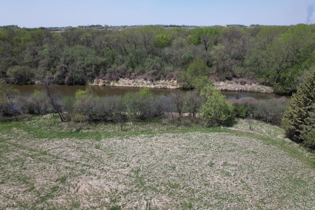 1433 Ridgeview Dr, Montevideo, MN 56265 - view of yard featuring a water view and a wooded view