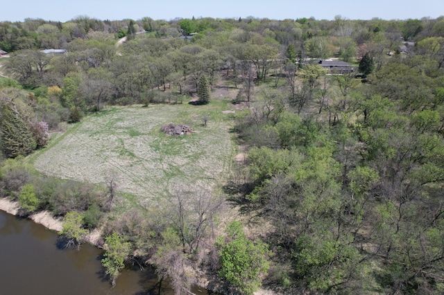 1433 Ridgeview Dr, Montevideo, MN 56265 - view of property location with a forest and a nearby body of water
