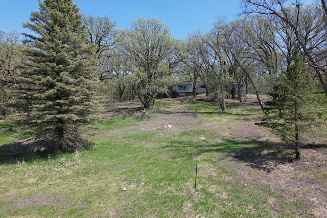 1433 Ridgeview Dr, Montevideo, MN 56265 - view of yard