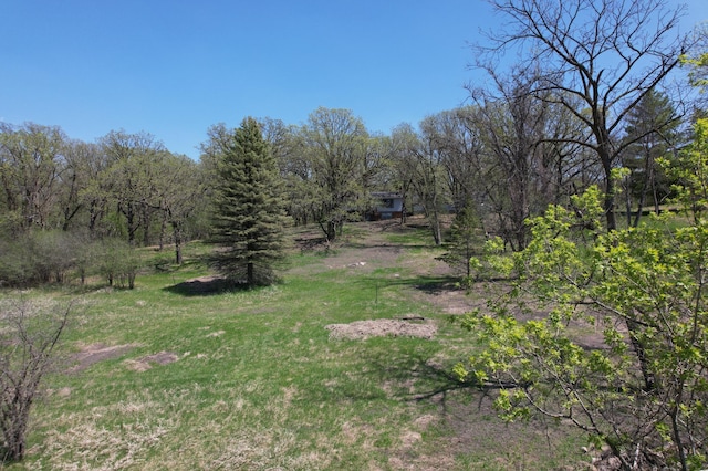 1433 Ridgeview Dr, Montevideo, MN 56265 - view of yard