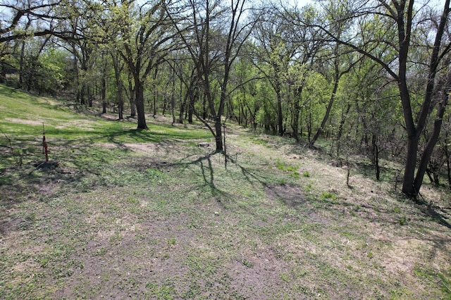 1433 Ridgeview Dr, Montevideo, MN 56265 - view of woods