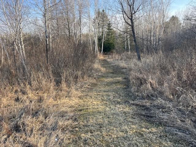 27048 Hawthorn Rd N, Hinckley, MN 55037 - photo 12