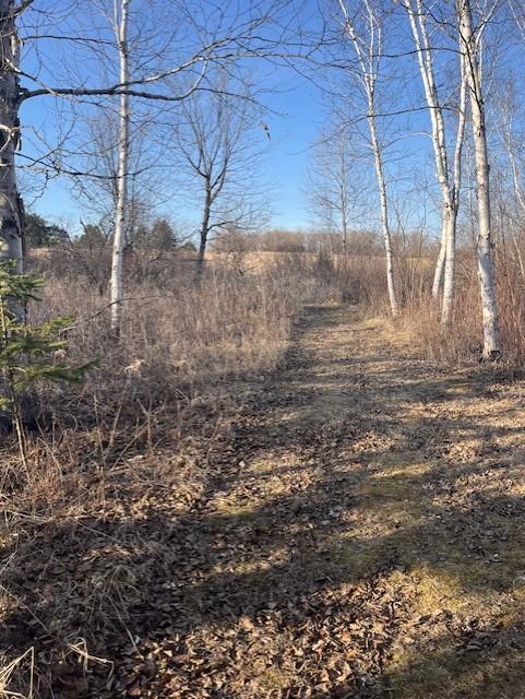 27048 Hawthorn Rd N, Hinckley, MN 55037 - photo 13