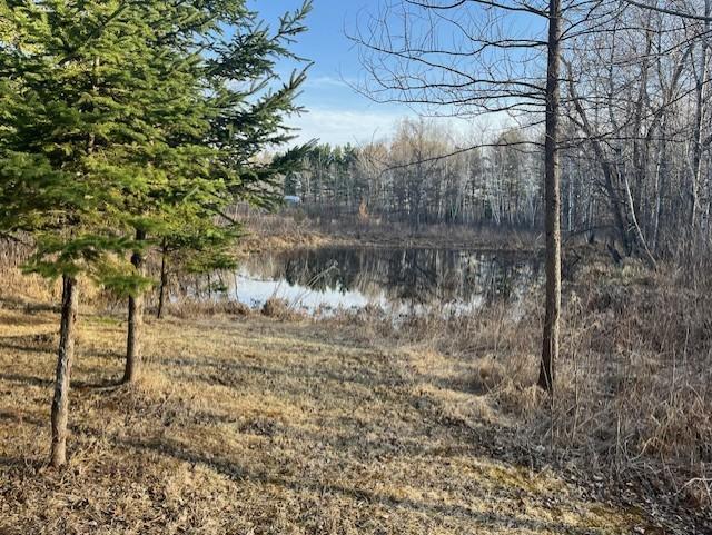 27048 Hawthorn Rd N, Hinckley, MN 55037 - photo 15