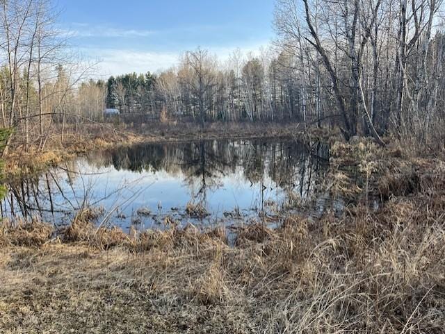 27048 Hawthorn Rd N, Hinckley, MN 55037 - photo 16