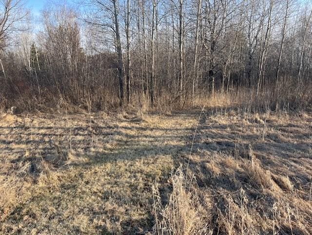 27048 Hawthorn Rd N, Hinckley, MN 55037 - photo 18