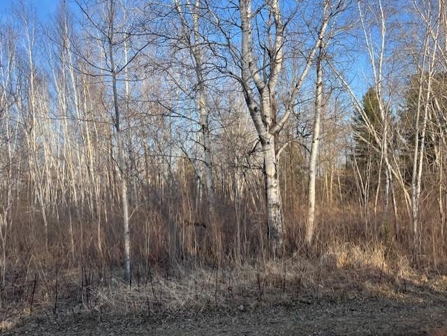 27048 Hawthorn Rd N, Hinckley, MN 55037 - photo 19